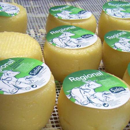 Saloio Regional