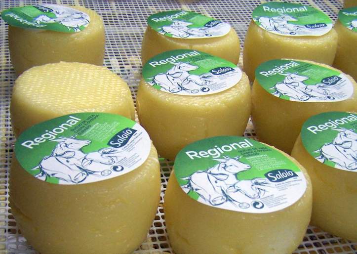 Saloio Regional