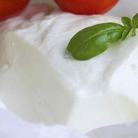 Stracchino di crescenza