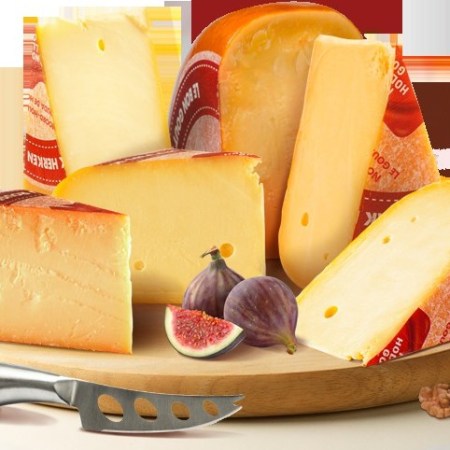 Noord-Hollandse Gouda