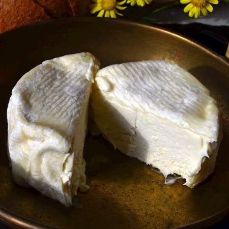 Délice de Bourgogne