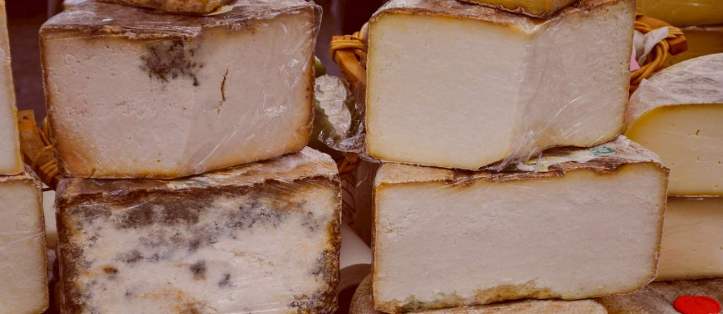 Castelmagno