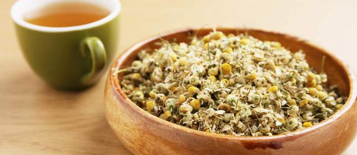 Alföldi Kamillavirágzat