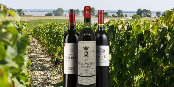 Saint-Estèphe