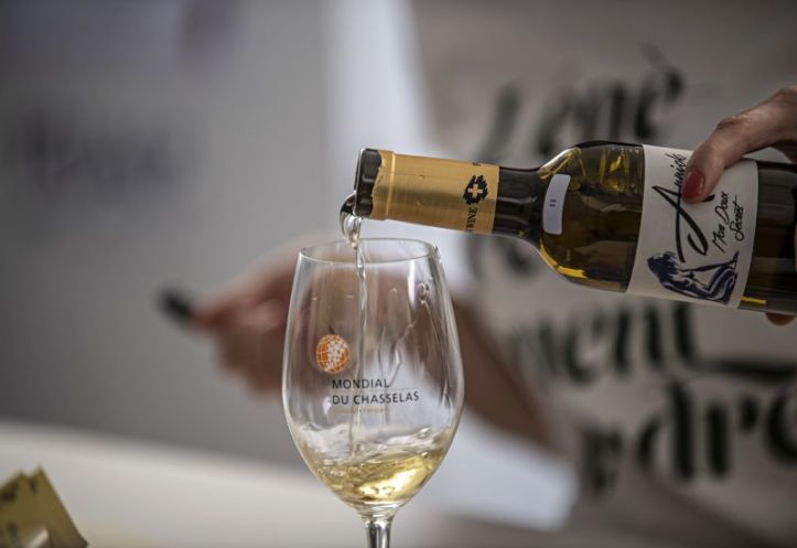 Chasselas (İsviçre)