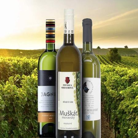 Muškát moravský