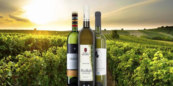 Muškát moravský
