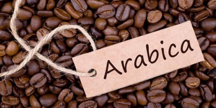 arabica kahve çekirdeği